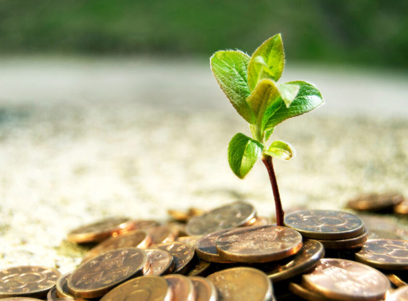 Venture capital